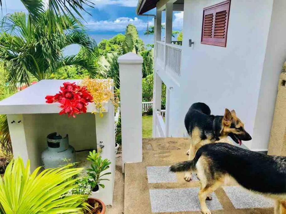 Hilltop South - Villa Bougainville Takamaka Exterior foto